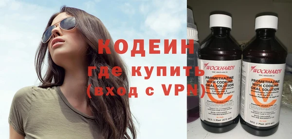 хмурый Арсеньев