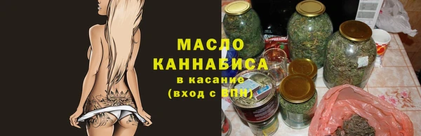 хмурый Арсеньев