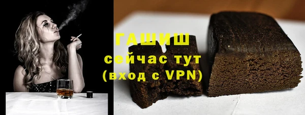 хмурый Арсеньев