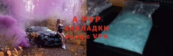 хмурый Арсеньев