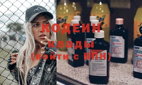хмурый Арсеньев