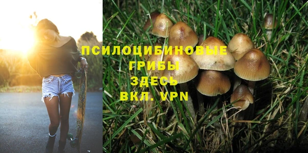 хмурый Арсеньев