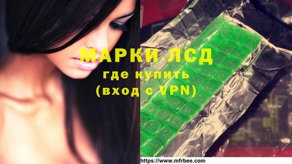 хмурый Арсеньев