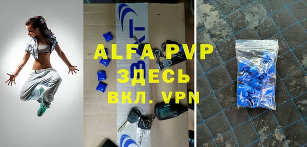 хмурый Арсеньев