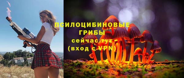 хмурый Арсеньев